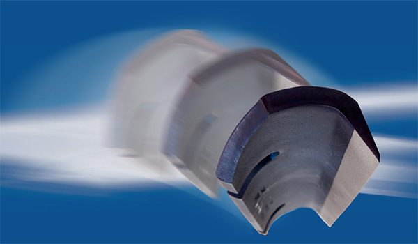 coltelli per trincia